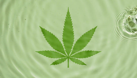 Buddha Teas | Organic CBD Teas Crafted for Wellness & Flavor