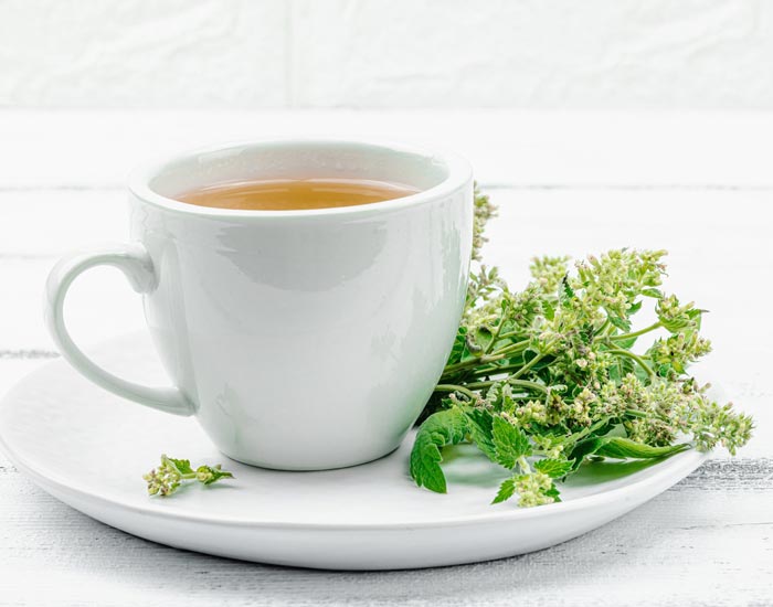 White cup of tea with a sprig of green leaves on a white plate
